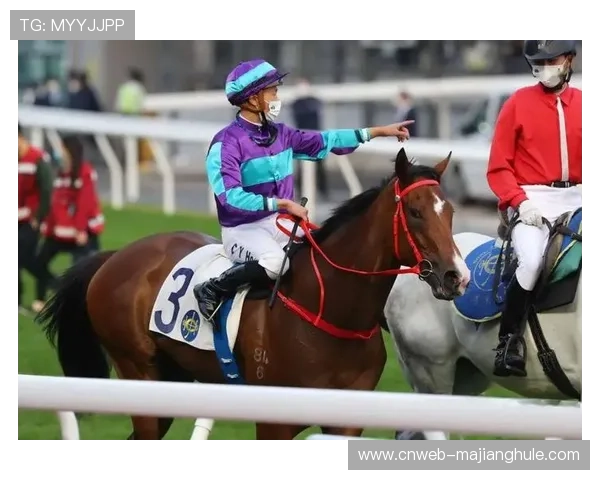 莫干山斯巴达勇士赛本土化创新获赞,赛事成功举办引热议 莫干山斯巴达勇士赛本土化创新获赞,赛事成功举办引热议