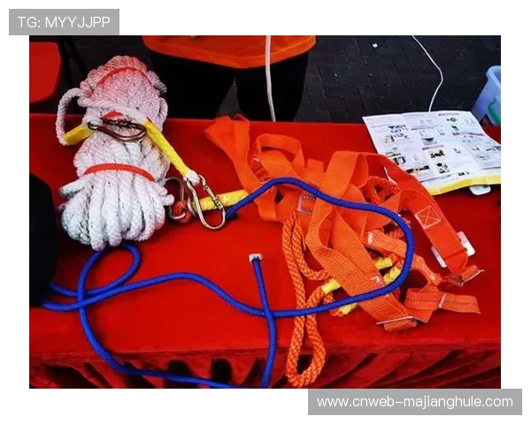 校园运动数据与社区平台对接,用户成长档案延续管理。 校园运动数据与社区平台对接,用户成长档案延续管理。